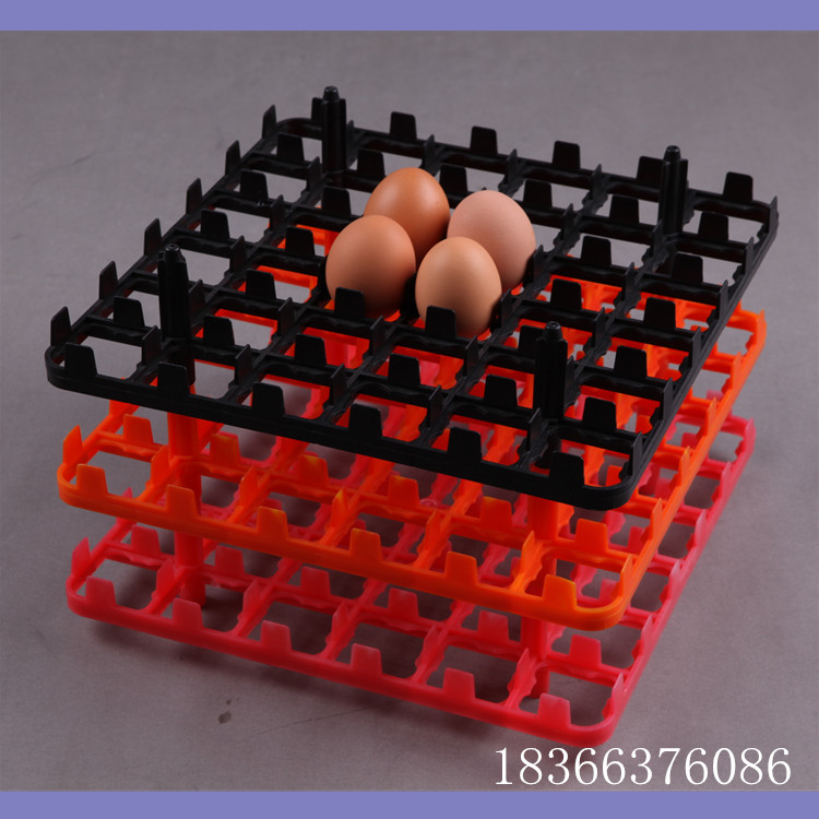 36枚种鸡蛋蛋托 孵化蛋托 种蛋蛋托