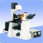 倒置荧光生物显微镜XSP-37X图片
