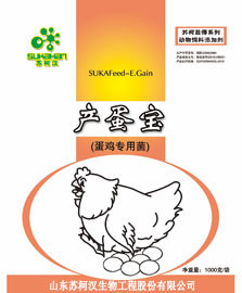 鸡预混料丨鸡预混料配方丨蛋鸡预混料饲料添加剂厂家直销