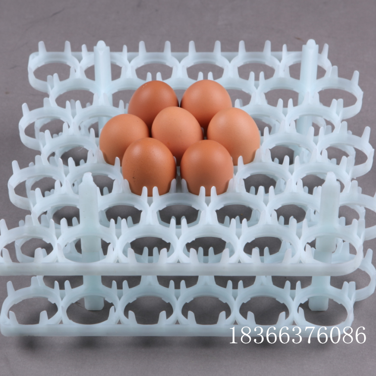 孵化器用42枚种蛋蛋托 种鸡蛋蛋托 孵化蛋托