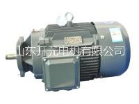 ADL冲压泵 ADL系列冲压泵电机供应商  山东开元电机有限公司