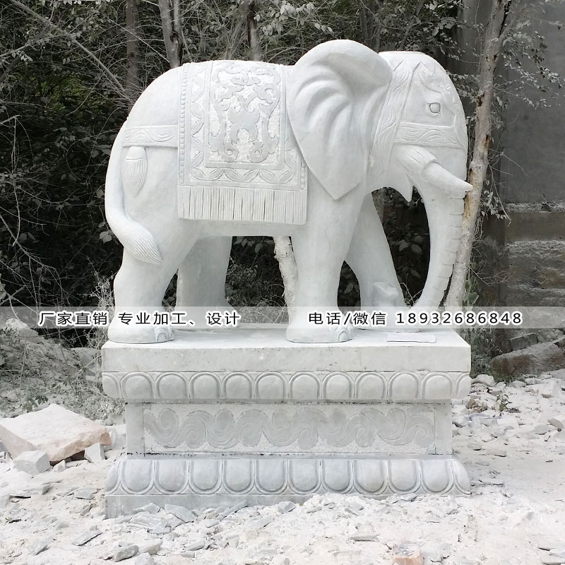 保定市石雕大象 汉白玉石雕大象 石小象厂家