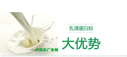 广州市乳清蛋白粉 固体饮料厂家