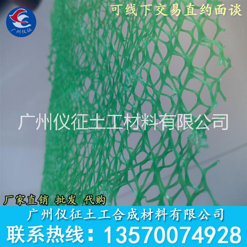 广东EN1、EN2、EN3三维植草网厂家