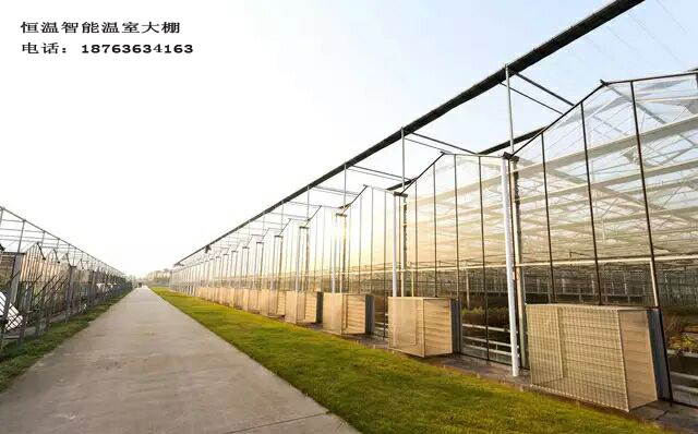 玻璃智能温室大棚 文洛式温室大棚 山东一道农业科技有限公司