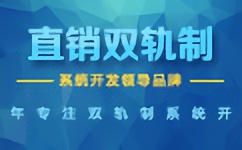 大连专业直销软件开发公司