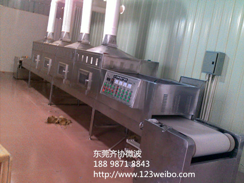广州微波葡萄干杀菌设备厂家图片