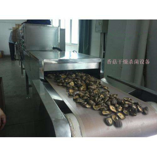 广州微波香菇灭菌杀虫设备厂家