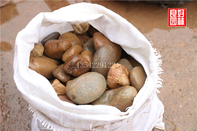 景观鹅卵石制作鹅卵石厂家 景观鹅卵石 五彩鹅卵石一斤价格
