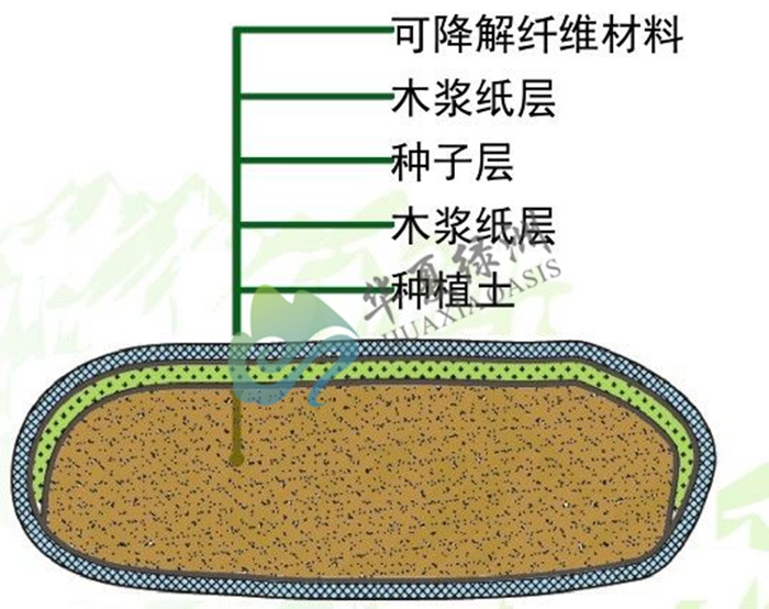 生态修复 边坡绿化 环境工程 植生袋柔性河道护坡技术