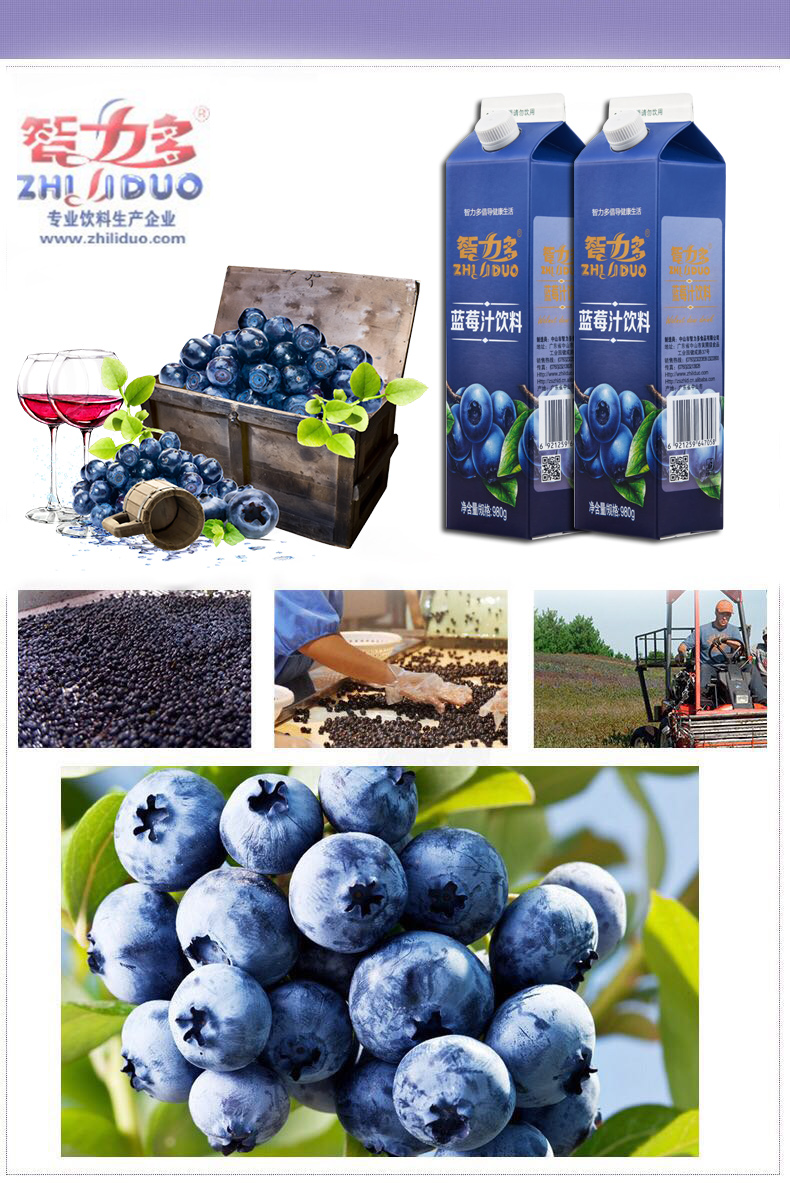 中山市智力多980G蓝莓汁批发代理采购蓝莓汁饮料|蓝莓汁生产厂家直销图片