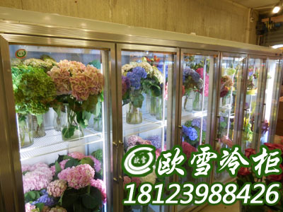 浙江杭州有没有供应三门鲜花保鲜柜展示柜直销图片