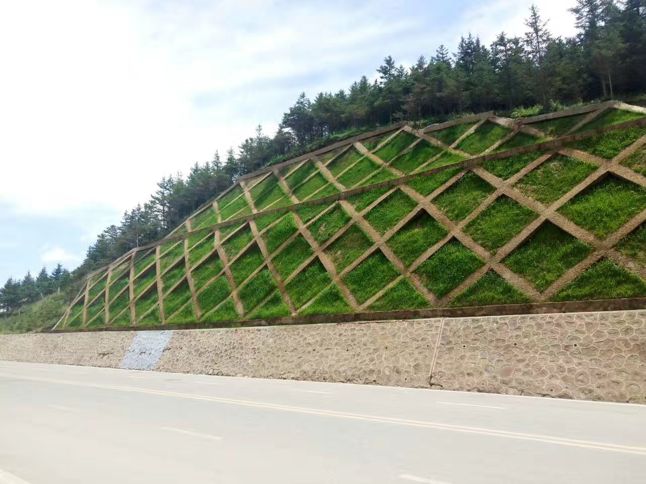 生态修复 边坡绿化 环境工程 护坡工程技术  无土混合纤维