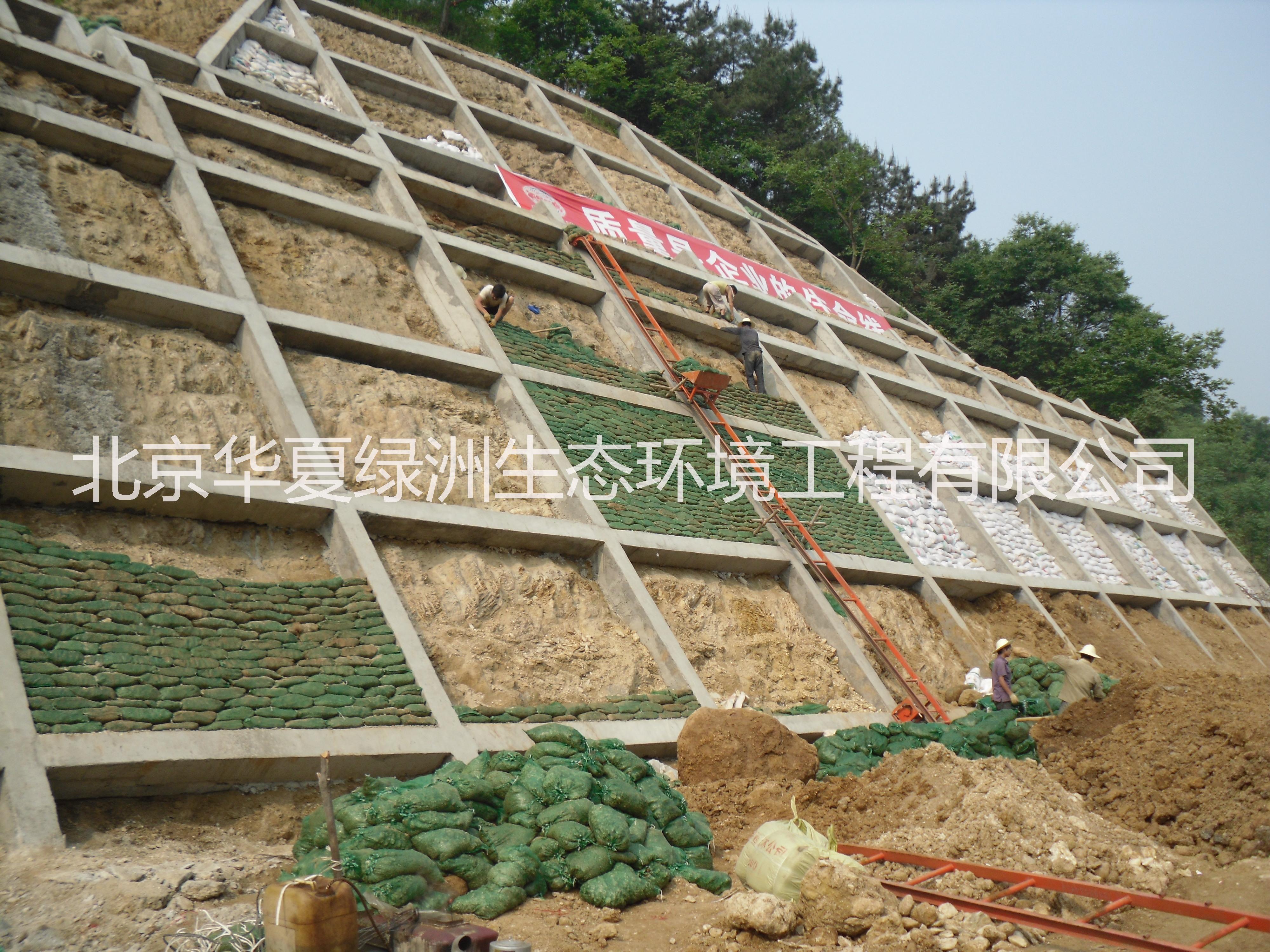 北京喷播绿化技术边坡 生态混凝土护坡技术 生态混凝土绿化护坡防洪工程 生态混凝土绿化护坡生态砼护坡 边坡框格梁植生袋护坡