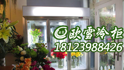 北京订做六门鲜花冷柜什么地方有厂家供应