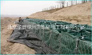 生态修复 边坡绿化 环境工程 植生袋柔性河道护坡技术 生态业务修复