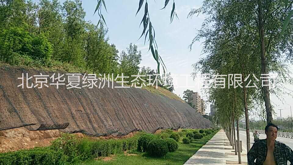 北京喷播绿化技术  地产开挖边坡飘台种植槽技术   联体植生垫 湿地公园 联体植生垫 湿地公园河道护理 加筋土工网垫