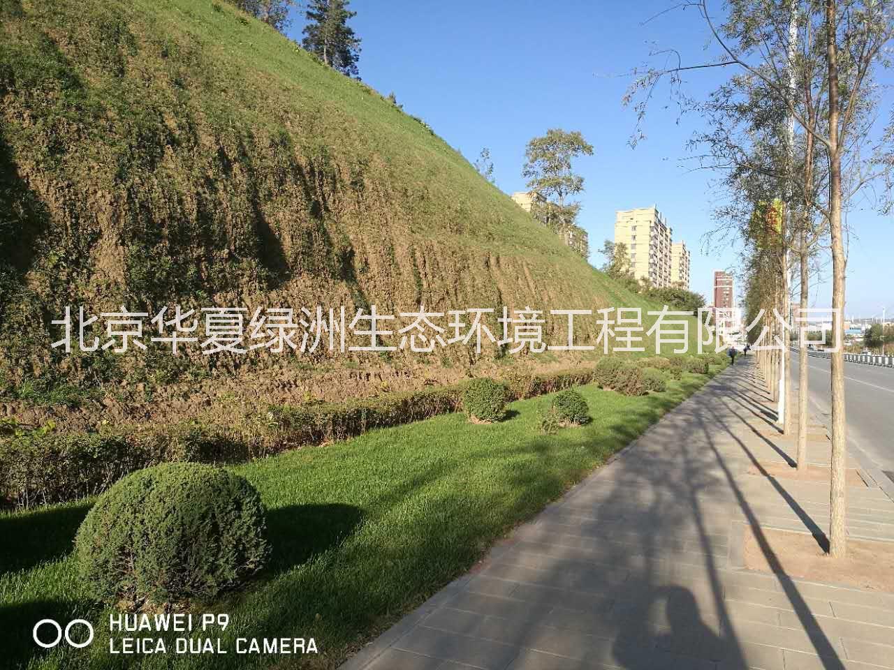 北京喷播绿化技术  地产开挖边坡飘台种植槽技术   联体植生垫 湿地公园 联体植生垫 湿地公园河道护理 加筋土工网垫