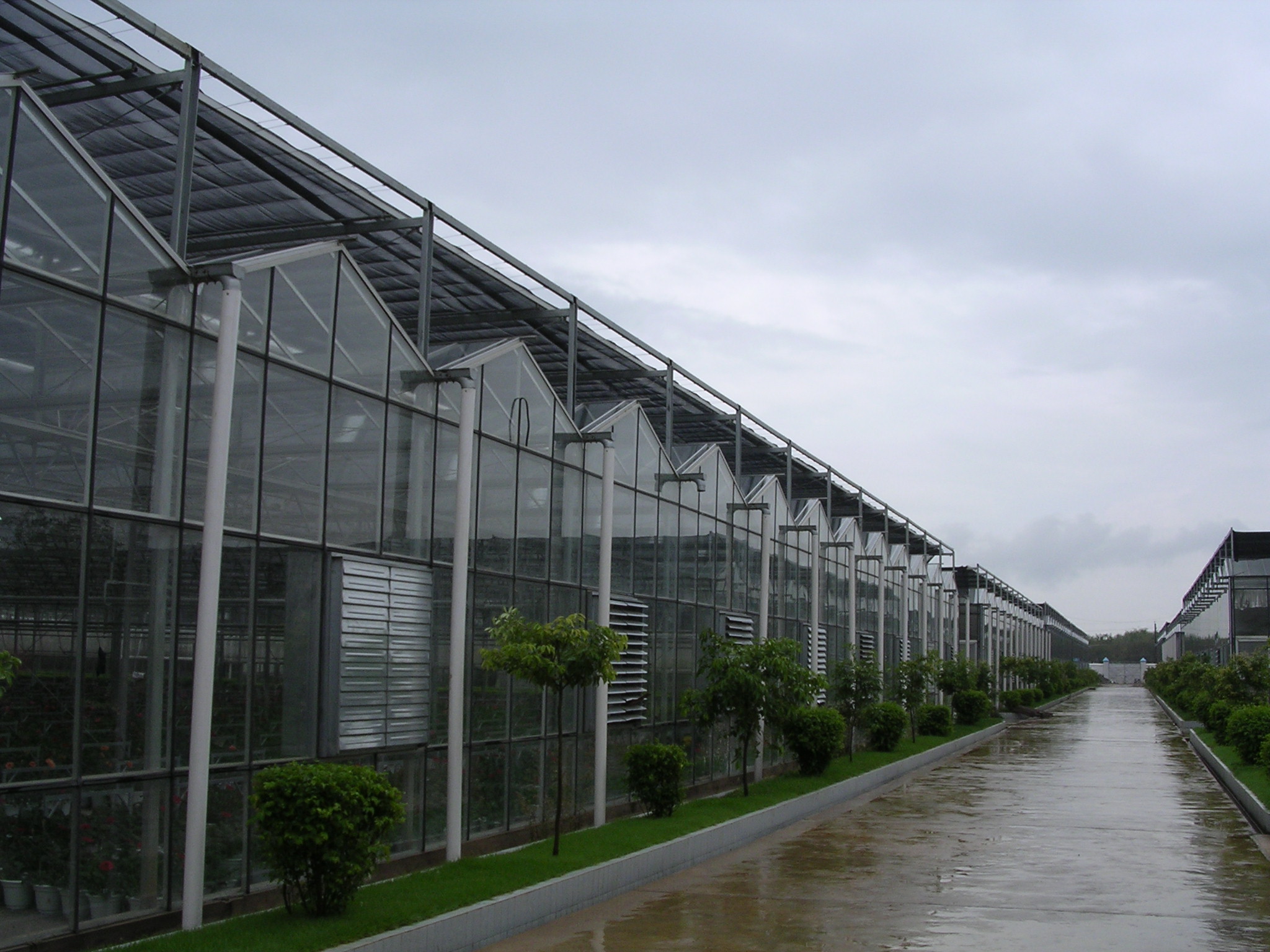 温室大棚造价连栋玻璃温室智能温室大棚山东豪达瑞科温室图片