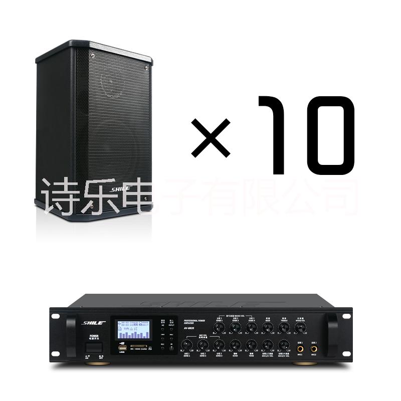 会议音响组合套装专业多功能厅培训设备背景音乐系统BX101*10+AV8820 背景音乐扩声系统