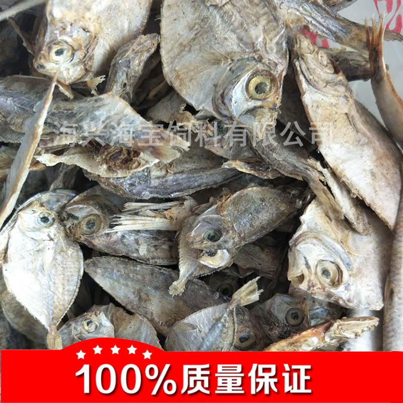 进口自然晒干新鲜鱼干饲料优良蛋白高营养宠物级鱼干批发优选鱼干