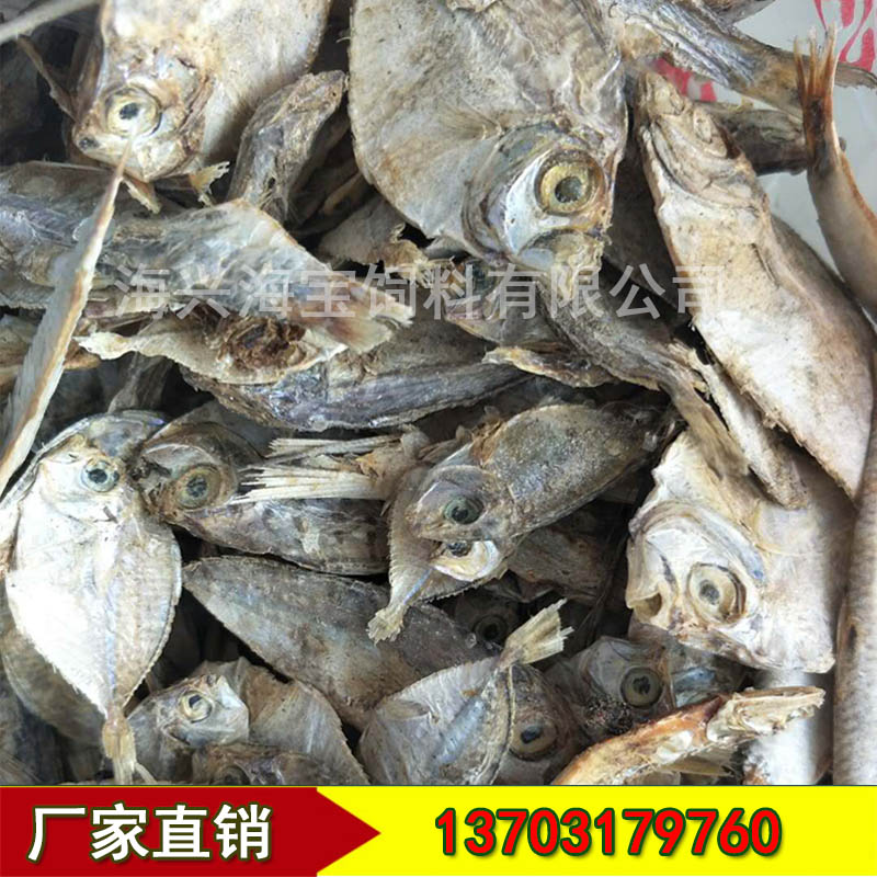 进口自然晒干新鲜鱼干饲料优良蛋白高营养宠物级鱼干批发优选鱼干