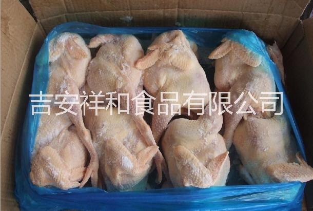 吉安冷冻白条鸡生产厂家批发直销批发