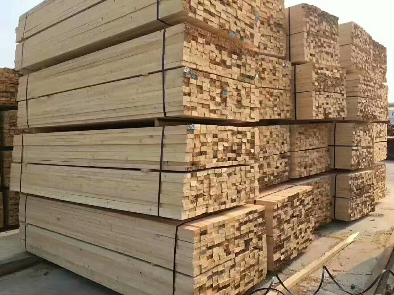 山东拓晨木材厂供应优质火炬松建筑木方图片