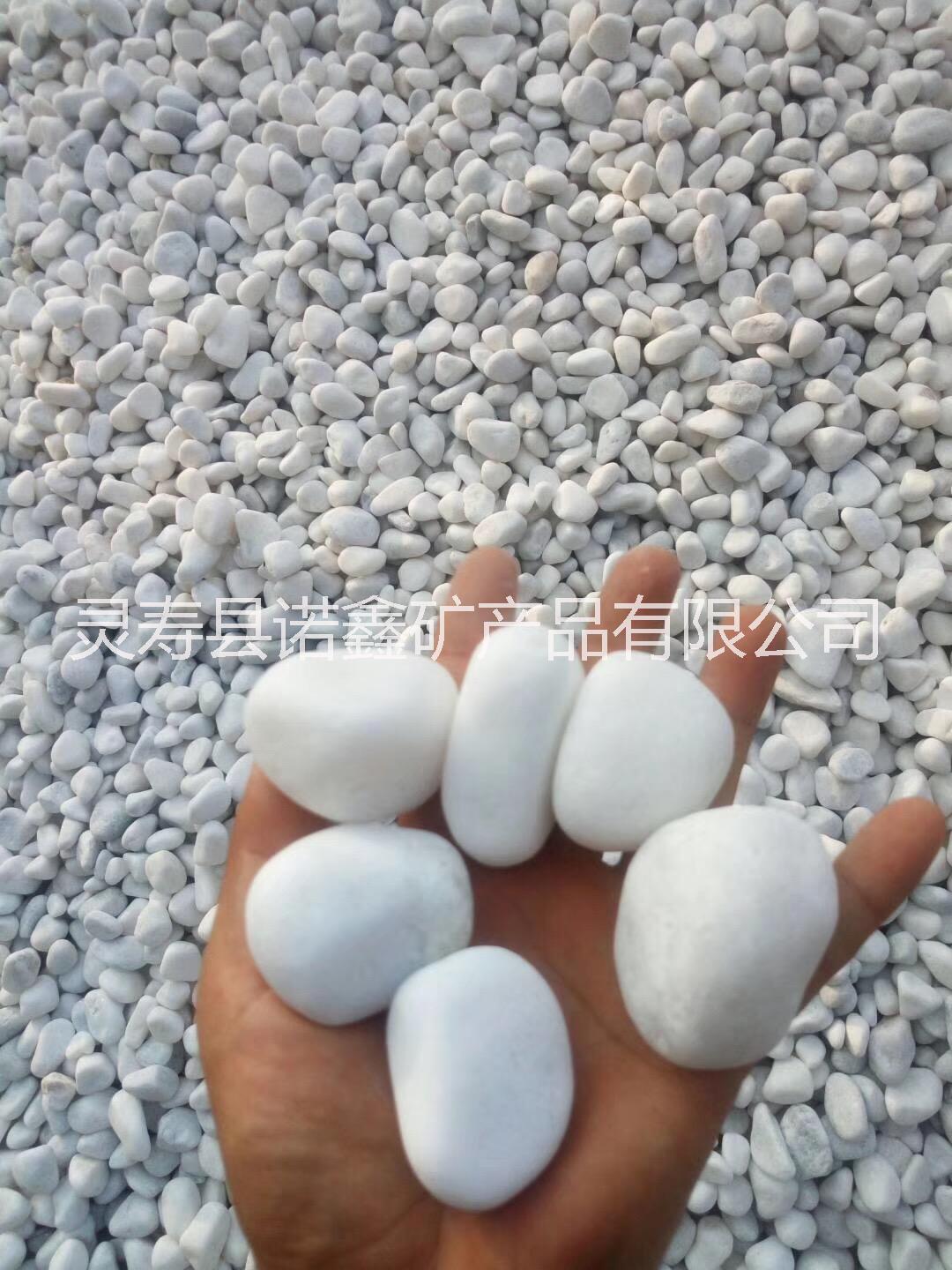厂家直销 园艺白石子白石头 景观白色鹅卵石 白色水洗石石子