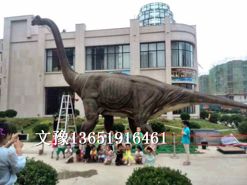 上海恐龙庆典展览策划模型出租上海恐龙庆典展览策划模型出租 动态仿真发声恐龙模型道具展览出租