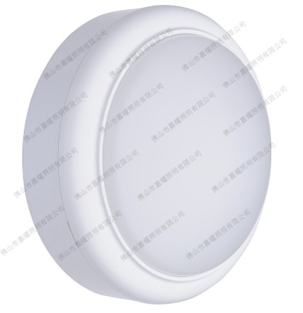 飞利浦明晖LED小面包灯WL008C LED10 15W圆形/椭圆吸顶灯医院专用灯图片