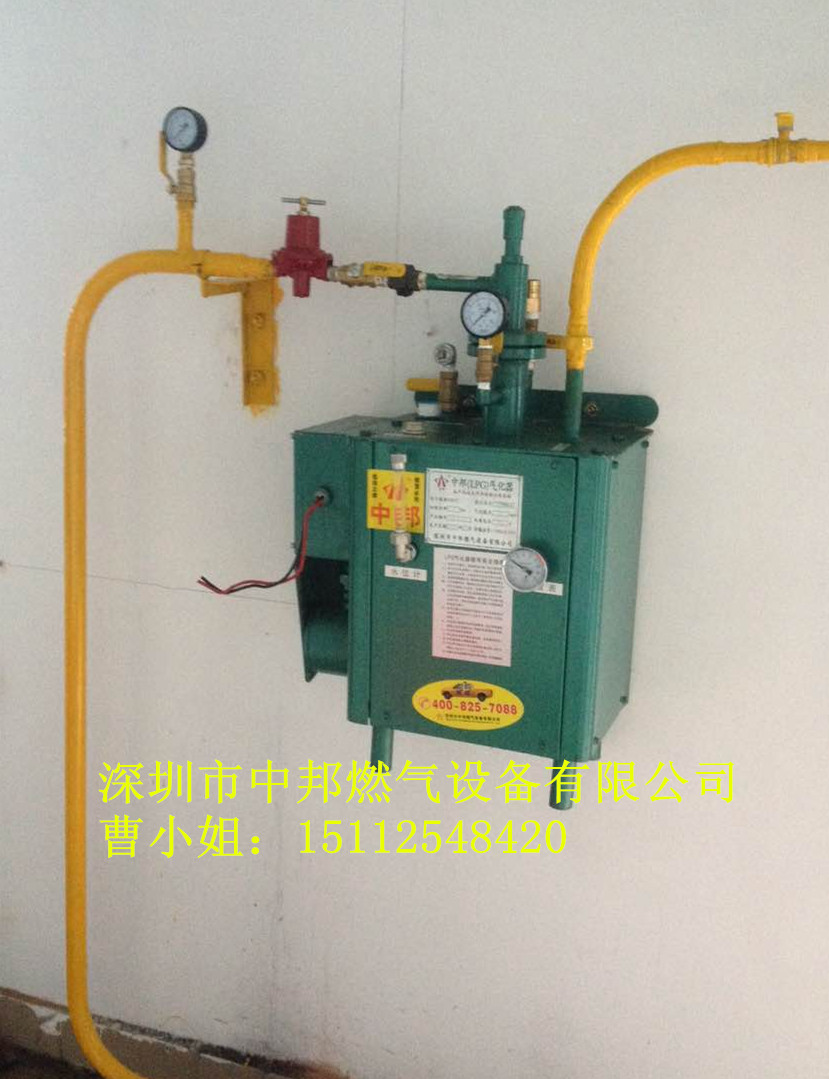 中邦20KG/H方形壁挂式气化器图片