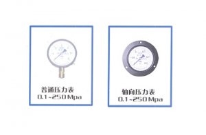 YA系列氨压力表批发