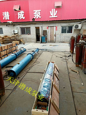 大功率热水潜水泵报价-天津潜成泵业厂家销售优惠