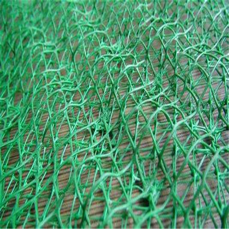 厂家直销护坡固土三维土工网，绿色三维植被网图片