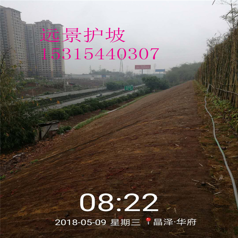 椰垫抗冲椰垫塑筋水保抗冲椰垫厂家直供广东河道护坡材料价格优惠