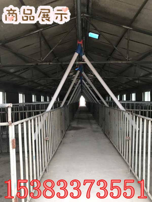 沧州市自动化猪场喂料 喂猪料线厂家自动化猪场喂料 喂猪料线新型设备自动化喂猪系统