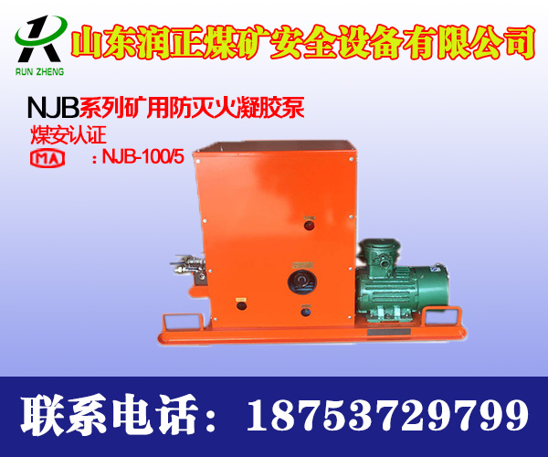 NJB-100/5矿用灭火凝胶泵生产厂家 山东润正图片