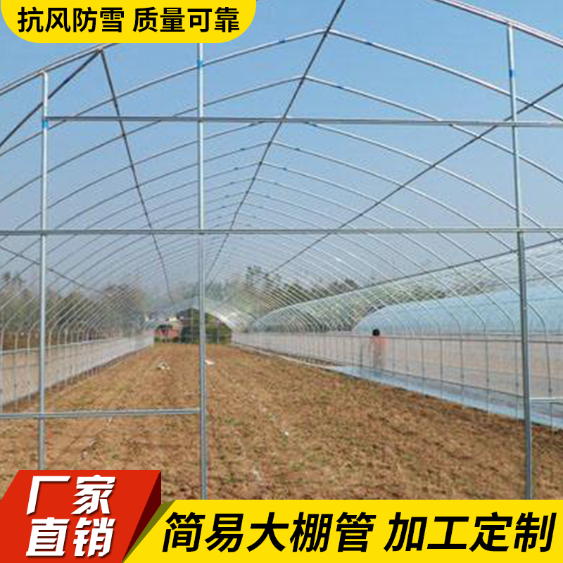 温室大棚安装建设水果种植大棚安徽大棚钢架大棚 水果大棚