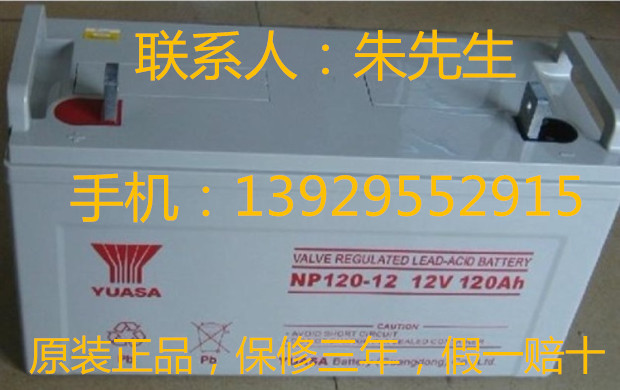 蓄电池YUASA NP120-12 12V120A免维护电池UPS电源直流屏电源电瓶图片