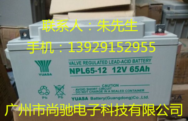 YUASA蓄电池 NPL65-12 12V65A免维护电池UPS直流屏电柜