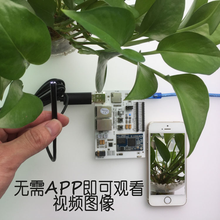 WiFi内窥镜模组 智能WiFi摄像 视频图传模块 RT5350升级版图片