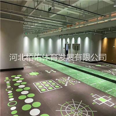 苏州健身房私教区定制地板厂家  武汉重庆健身房私教区定制地板厂家武汉360私教定制地胶
