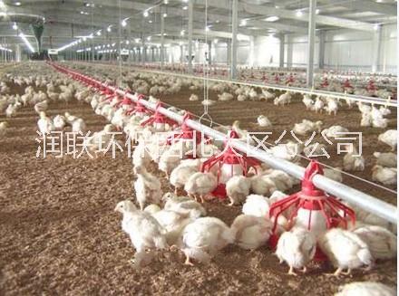诺福养鸡场整体消毒供应商图片