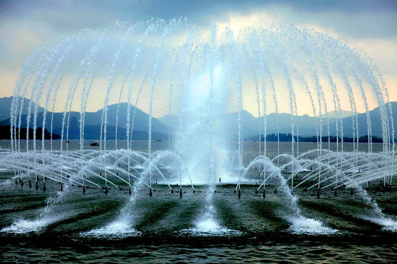 景观喷泉设计施工  大型绿化养护单价6元/平方