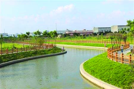 上海市景观绿化工程厂家景观绿化工程 项目撮合成功可拿15%提成