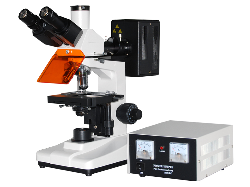 生物荧光显微镜上海落射荧光显微镜CFM-200
