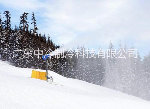 广东中冷滑雪滑雪场设计专业快速