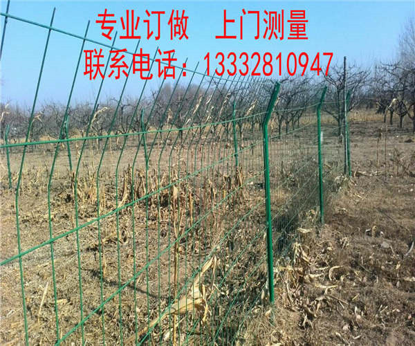 清远绿色铁丝网供应 深圳防护网零售 珠海农田防护网现货