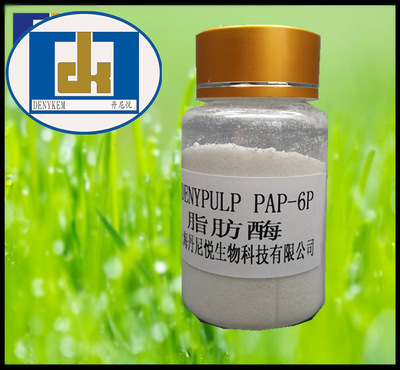 丹尼悦造纸用脂肪酶 DENYPULP PAP-6P